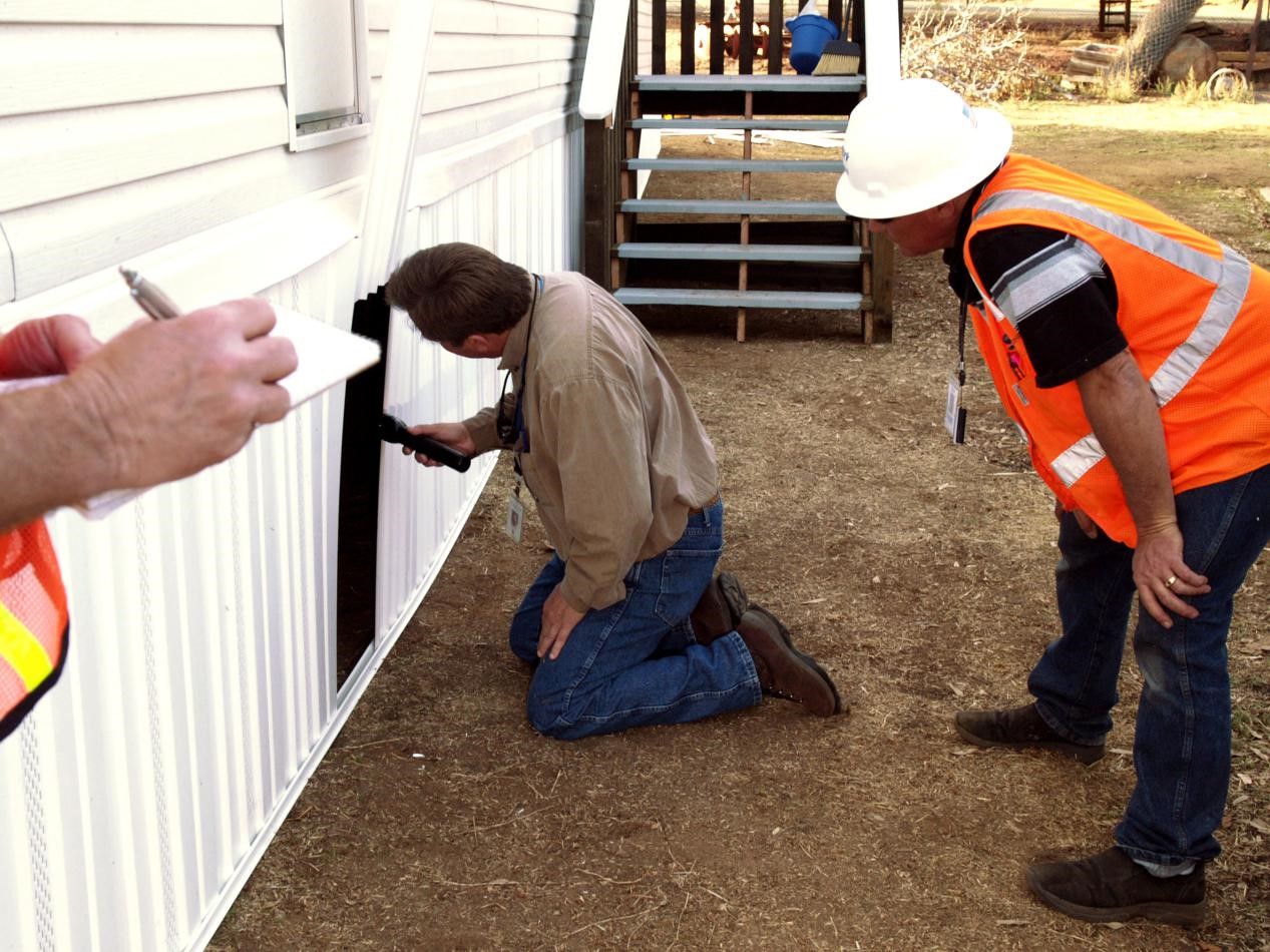 What You Need to Know About Pest Inspection